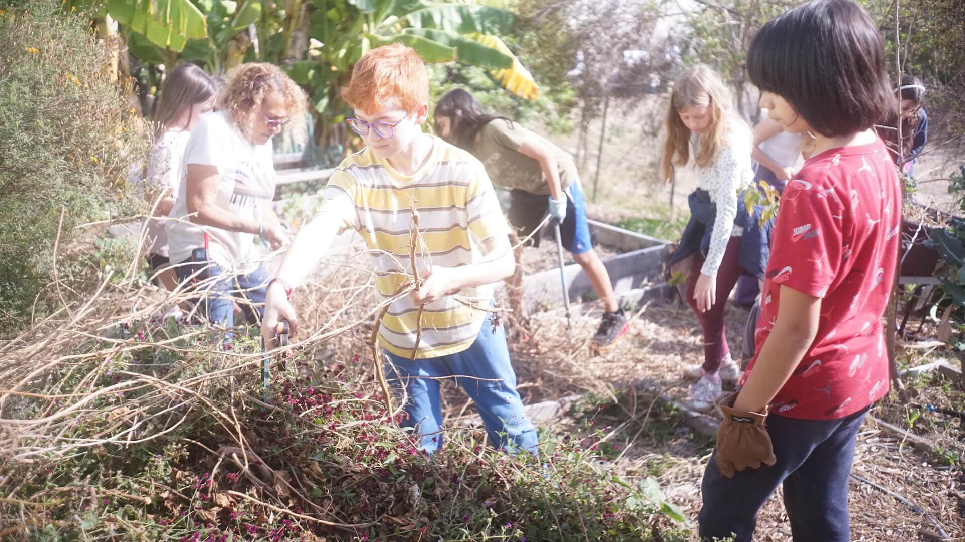 Students garden together.