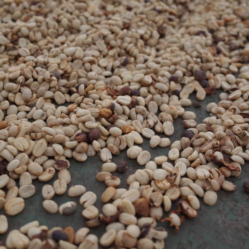Coffee beans