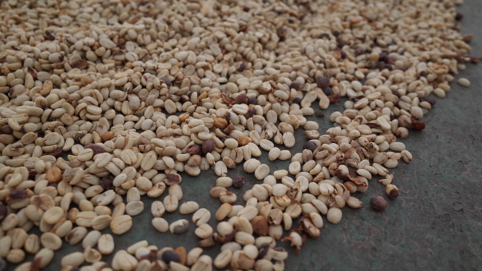 Coffee beans