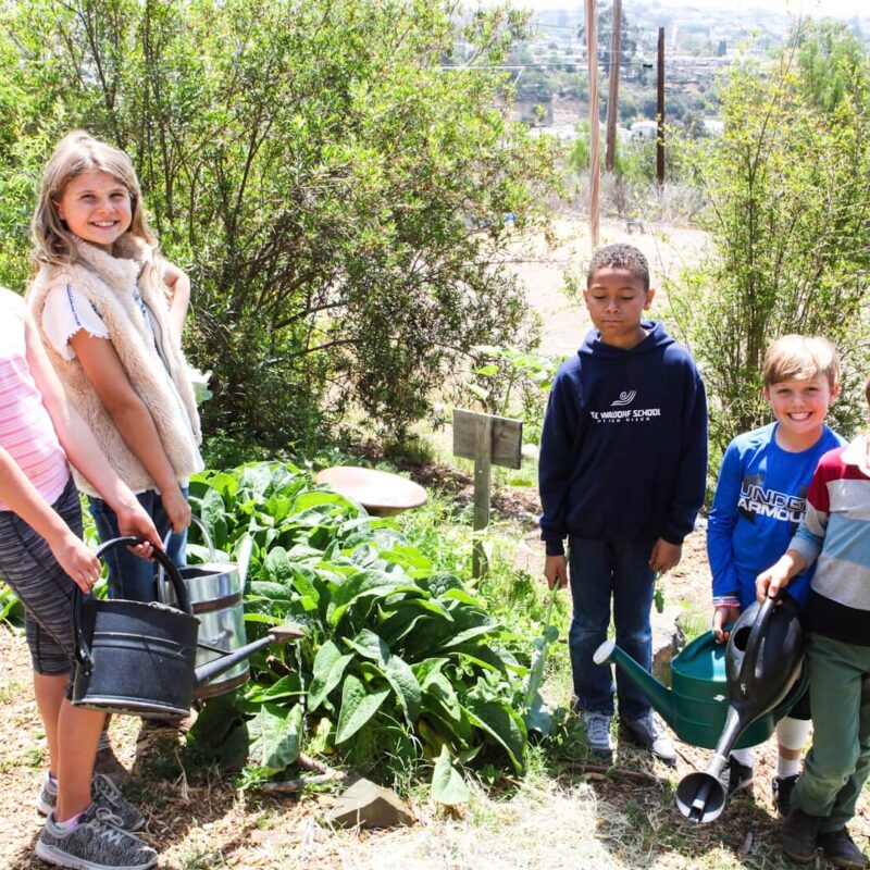 Lower School students gardening
